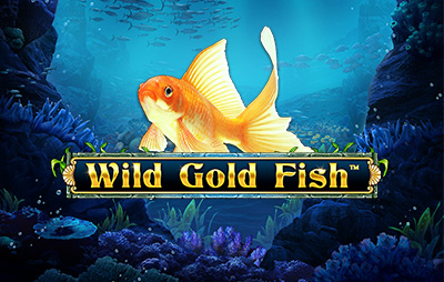 Wild Gold Fish